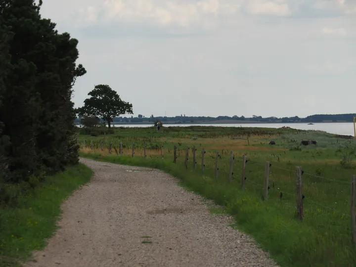 Halshuisene + Enebaerodde Beach (Denemarken)